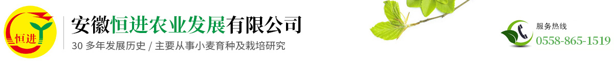 安徽恒進(jìn)農(nóng)業(yè)發(fā)展有限公司
